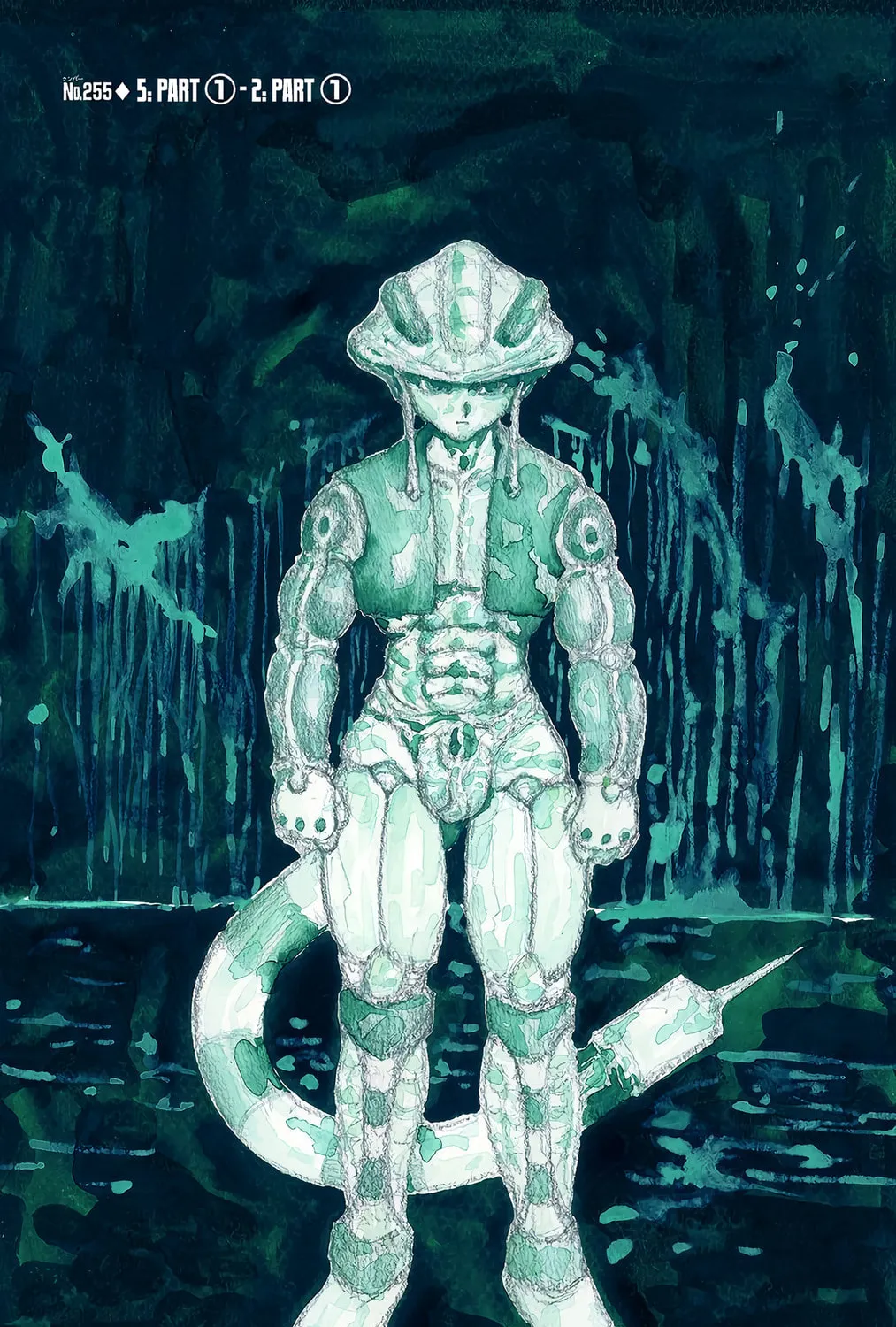 Hunter x Hunter Colored Manga