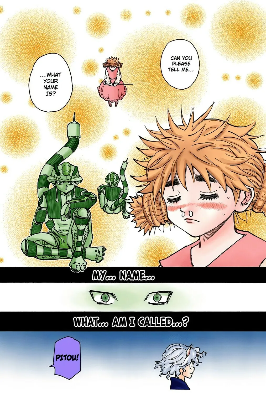 Hunter x Hunter Colored Manga
