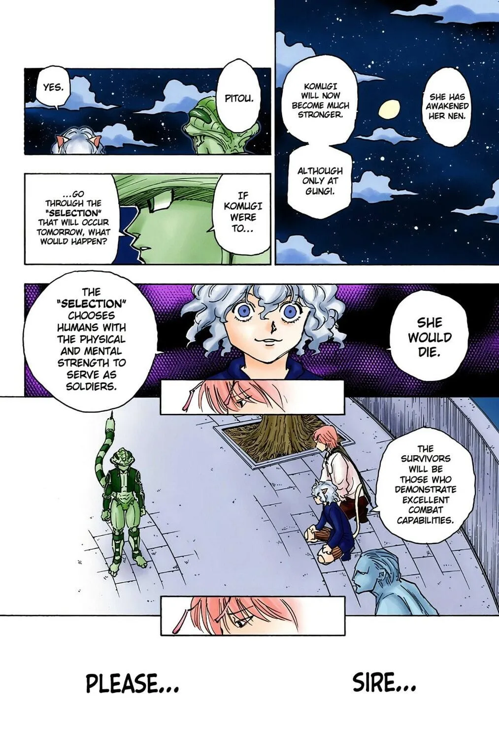 Hunter x Hunter Colored Manga