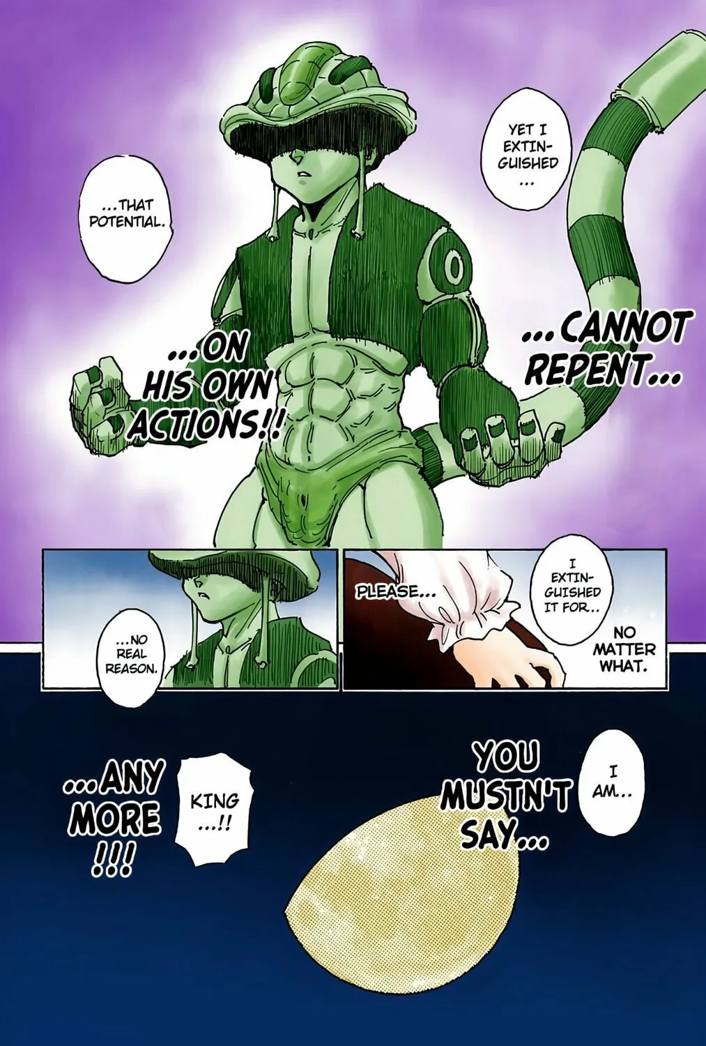 Hunter x Hunter Colored Manga