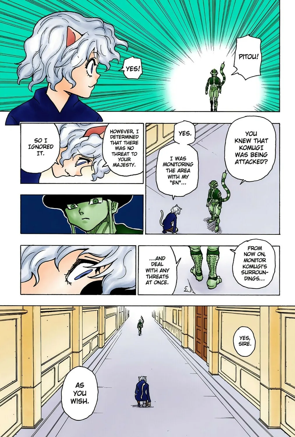 Hunter x Hunter Colored Manga