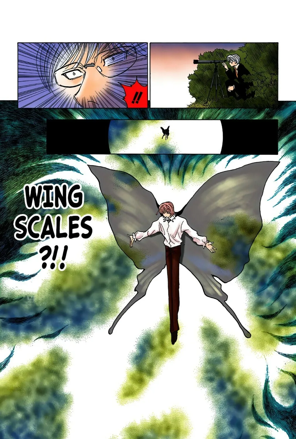 Hunter x Hunter Colored Manga