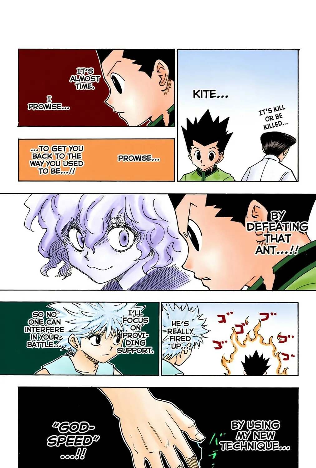 Hunter x Hunter Colored Manga