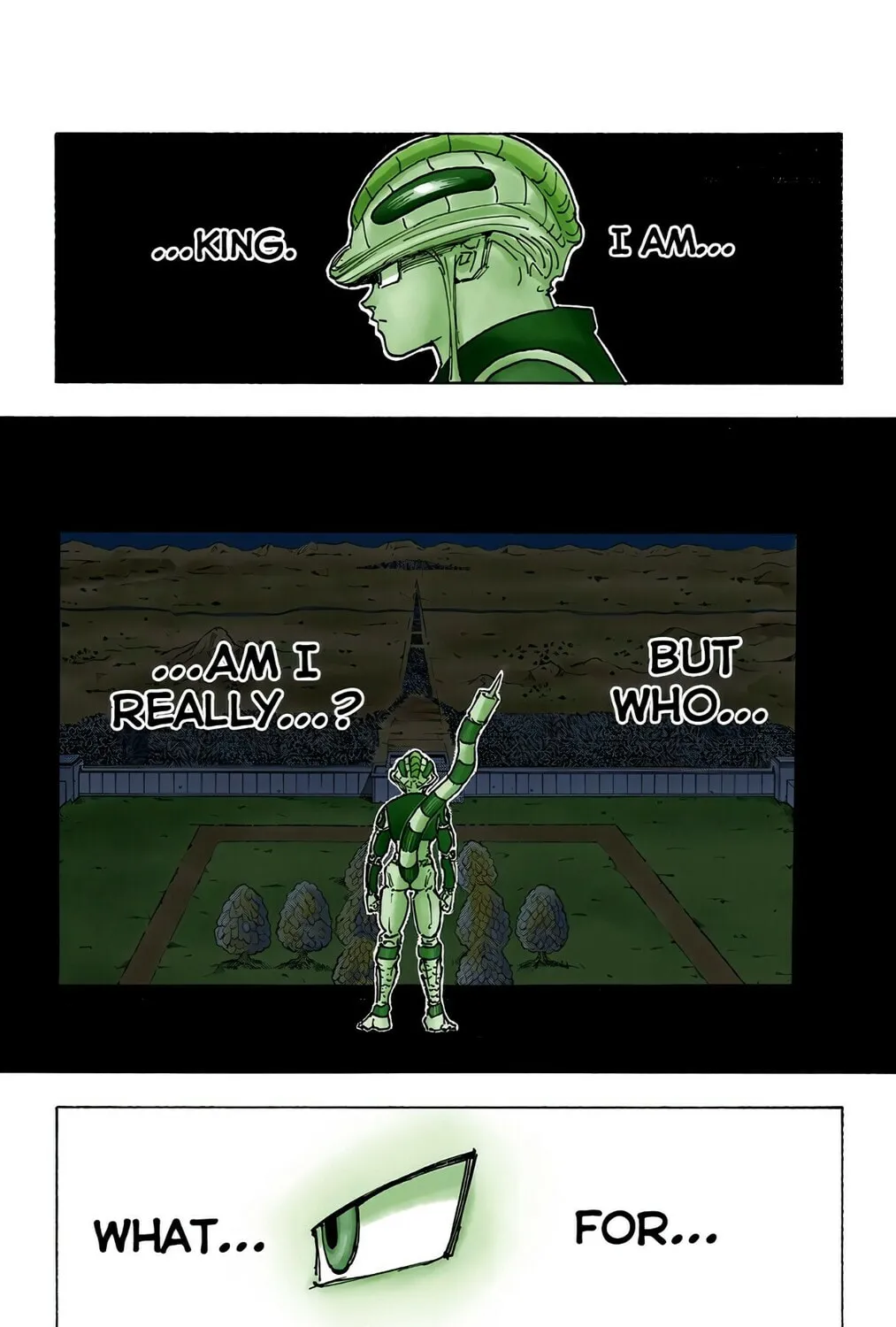 Hunter x Hunter Colored Manga