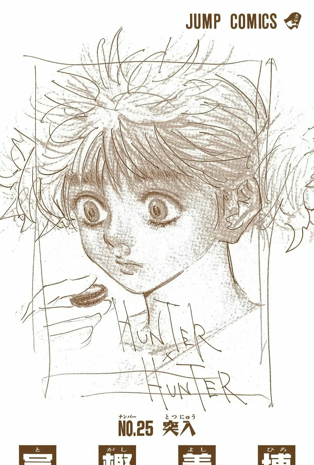 Hunter x Hunter Colored Manga