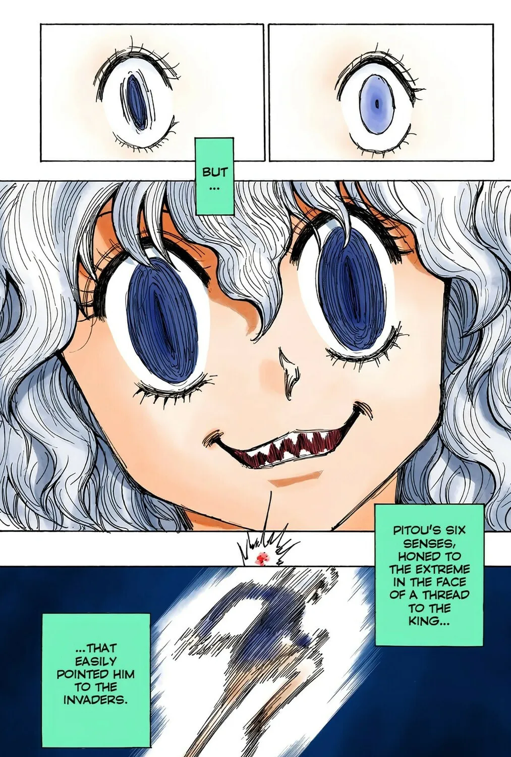 Hunter x Hunter Colored Manga