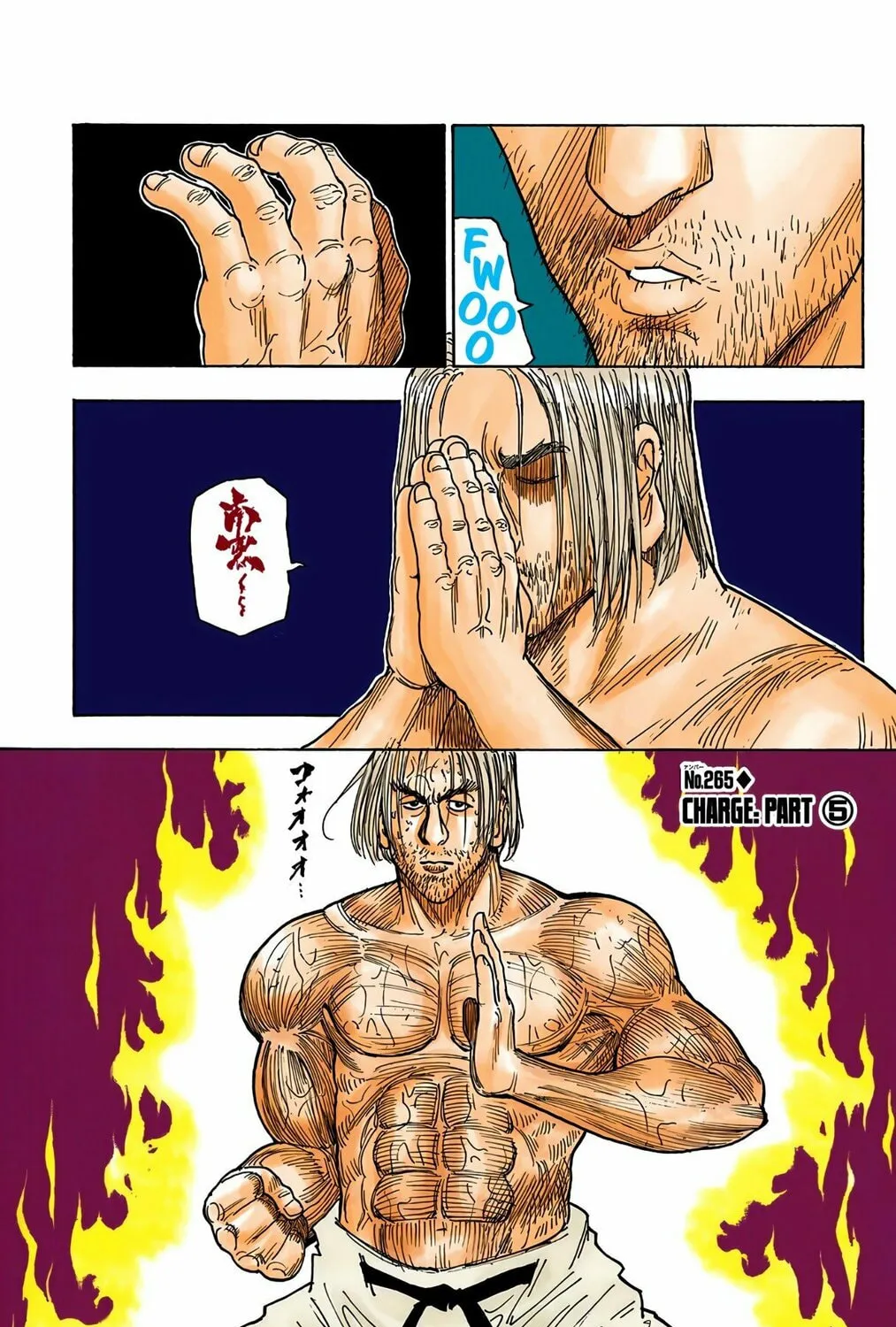 Hunter x Hunter Colored Manga