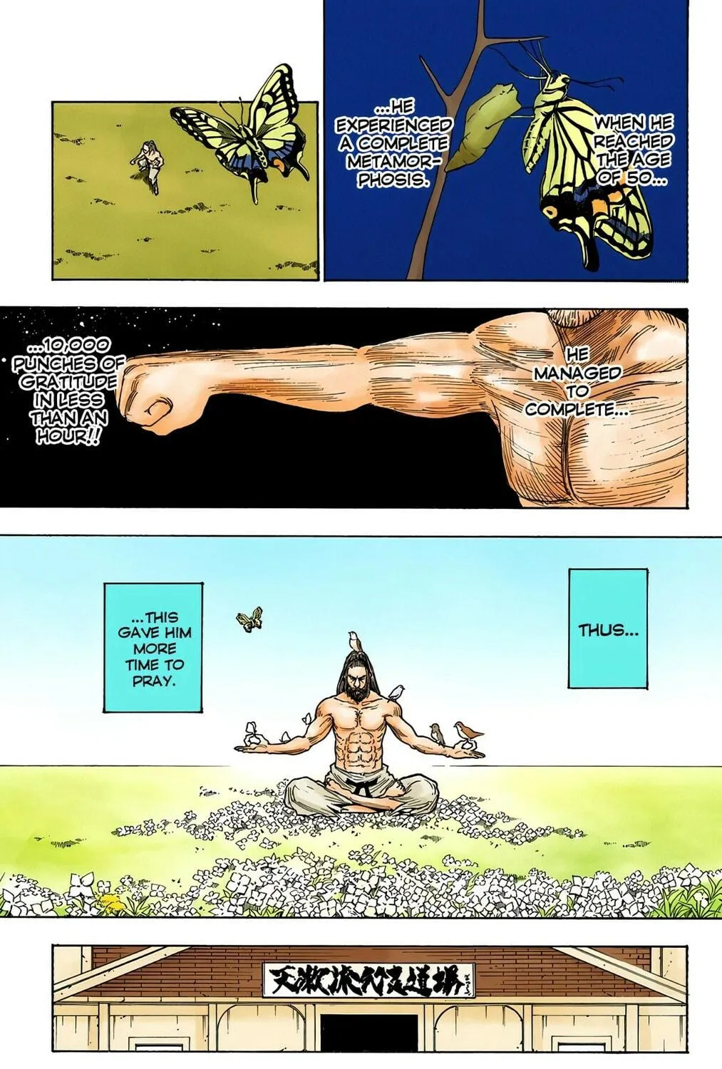 Hunter x Hunter Colored Manga