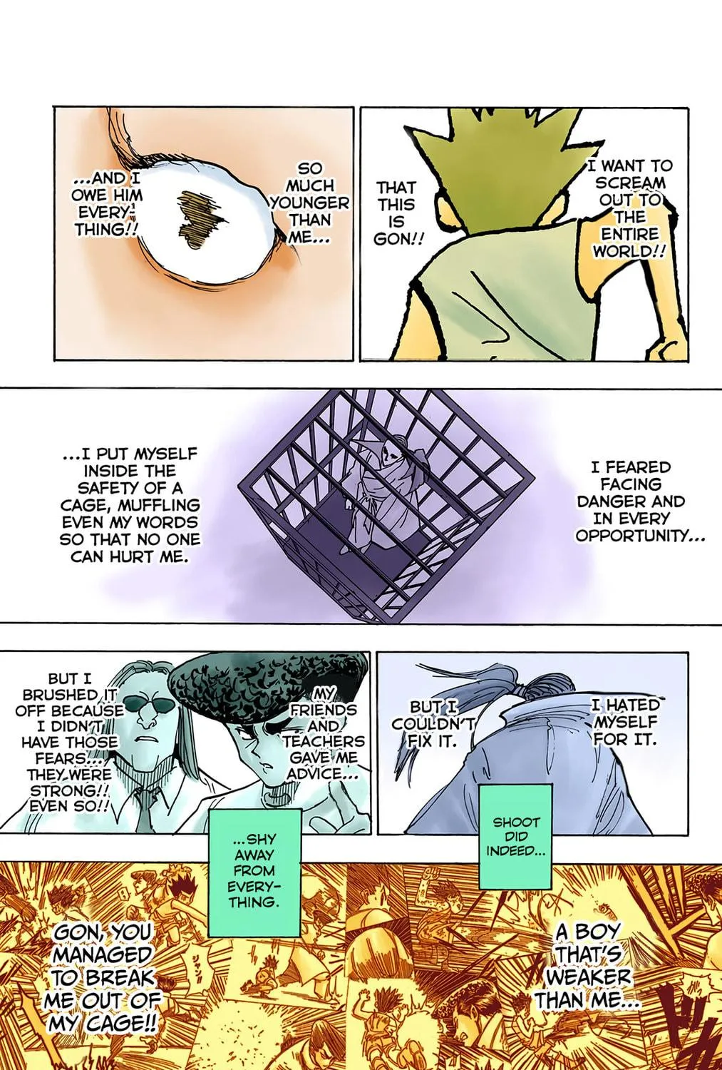 Hunter x Hunter Colored Manga