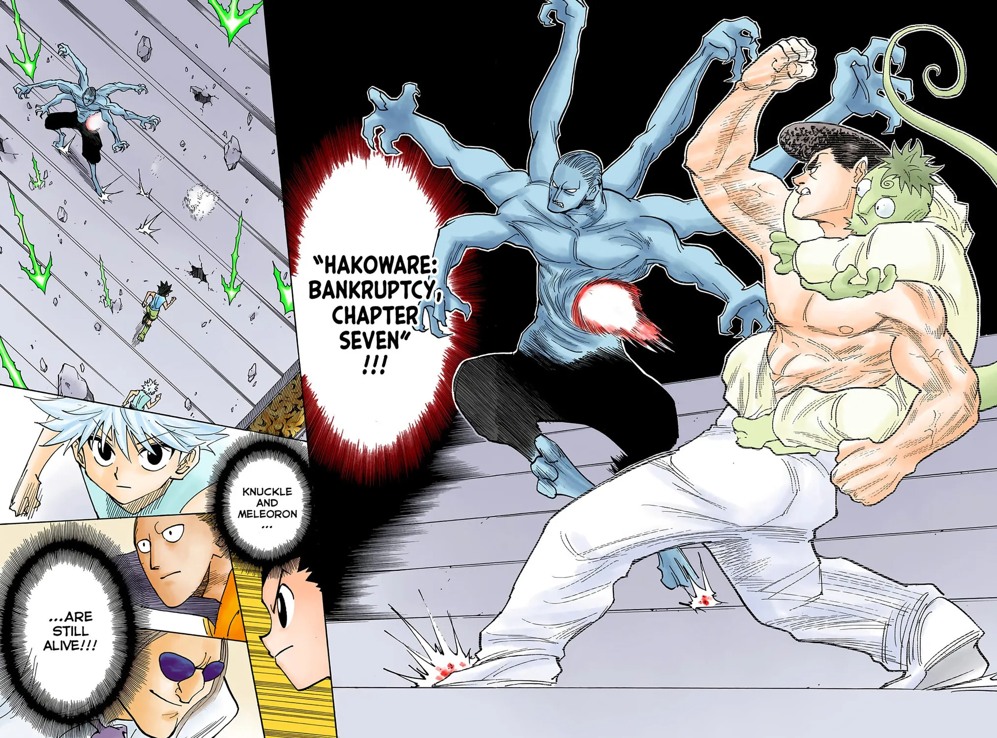 Hunter x Hunter Colored Manga