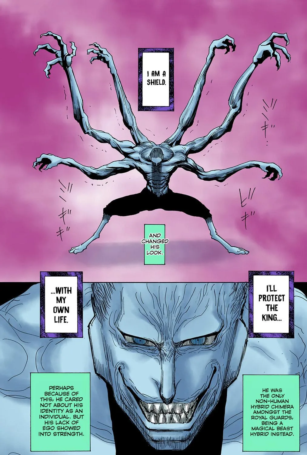 Hunter x Hunter Colored Manga