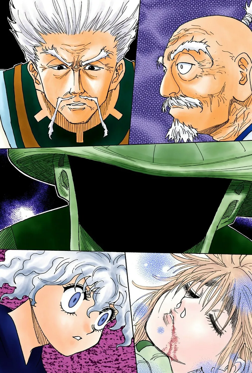 Hunter x Hunter Colored Manga