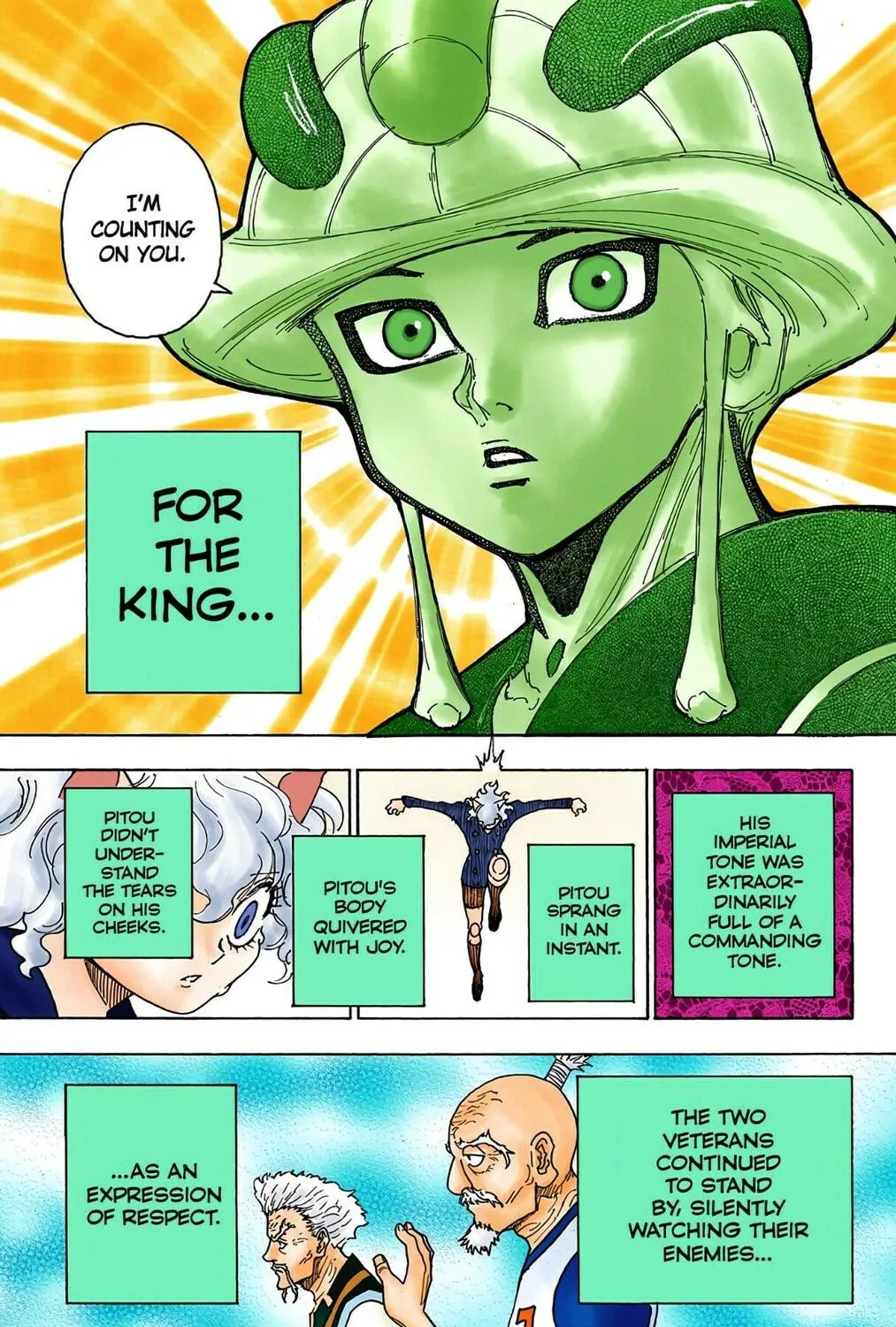 Hunter x Hunter Colored Manga
