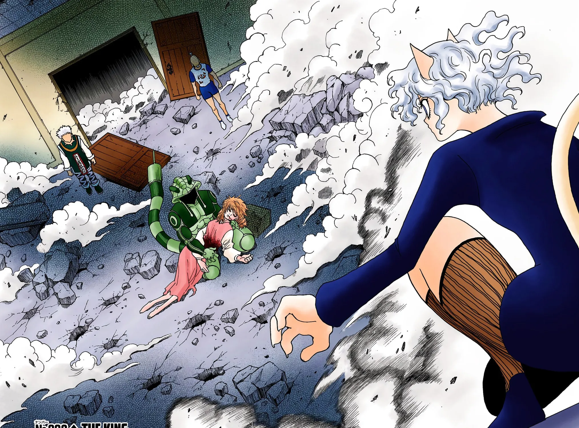 Hunter x Hunter Colored Manga
