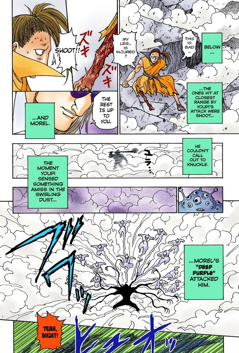 Hunter x Hunter Colored Manga