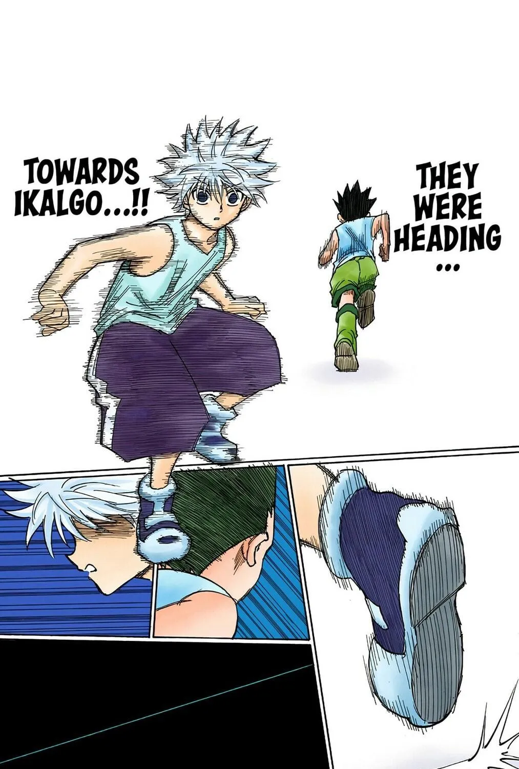 Hunter x Hunter Colored Manga