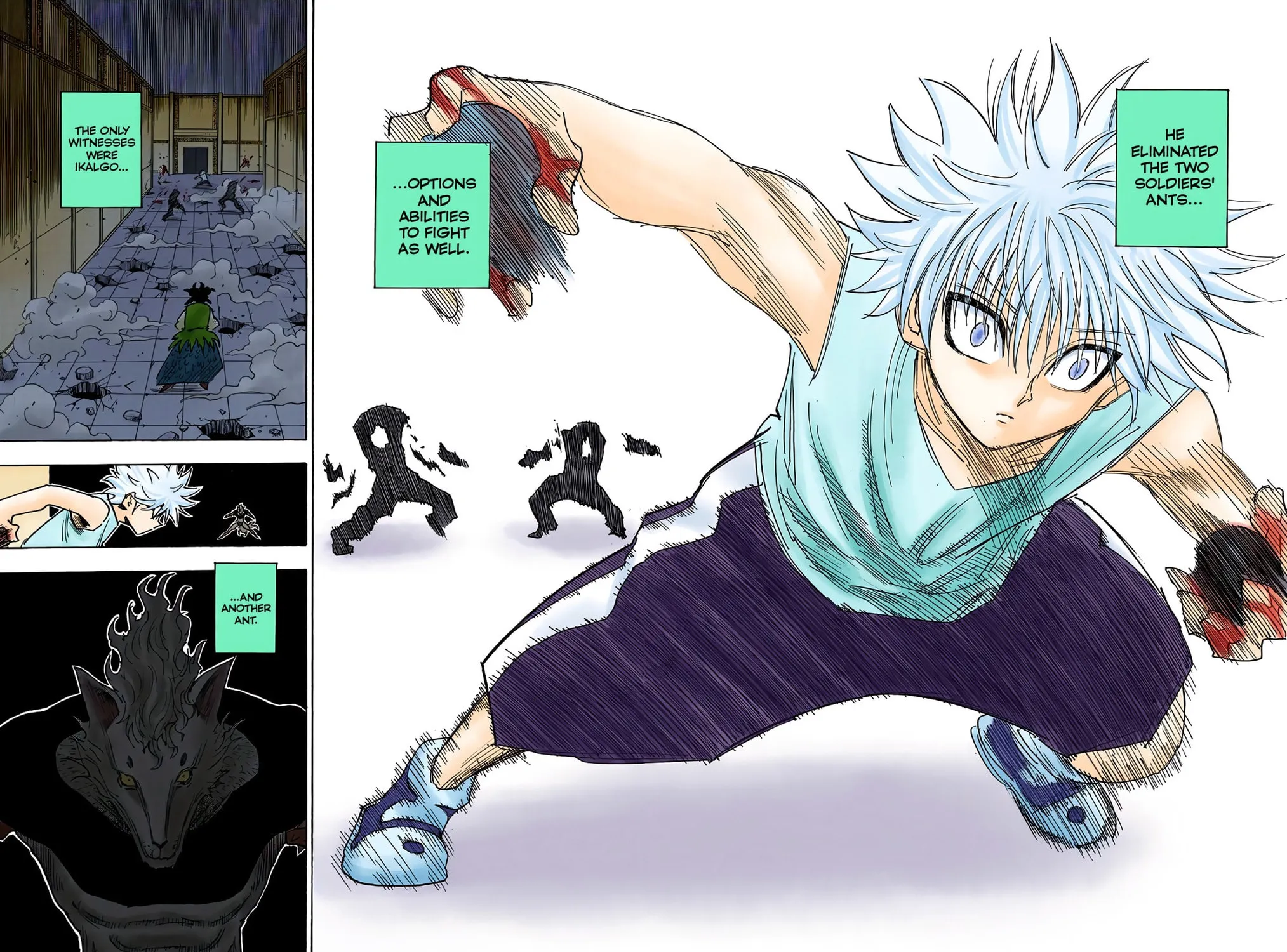 Hunter x Hunter Colored Manga