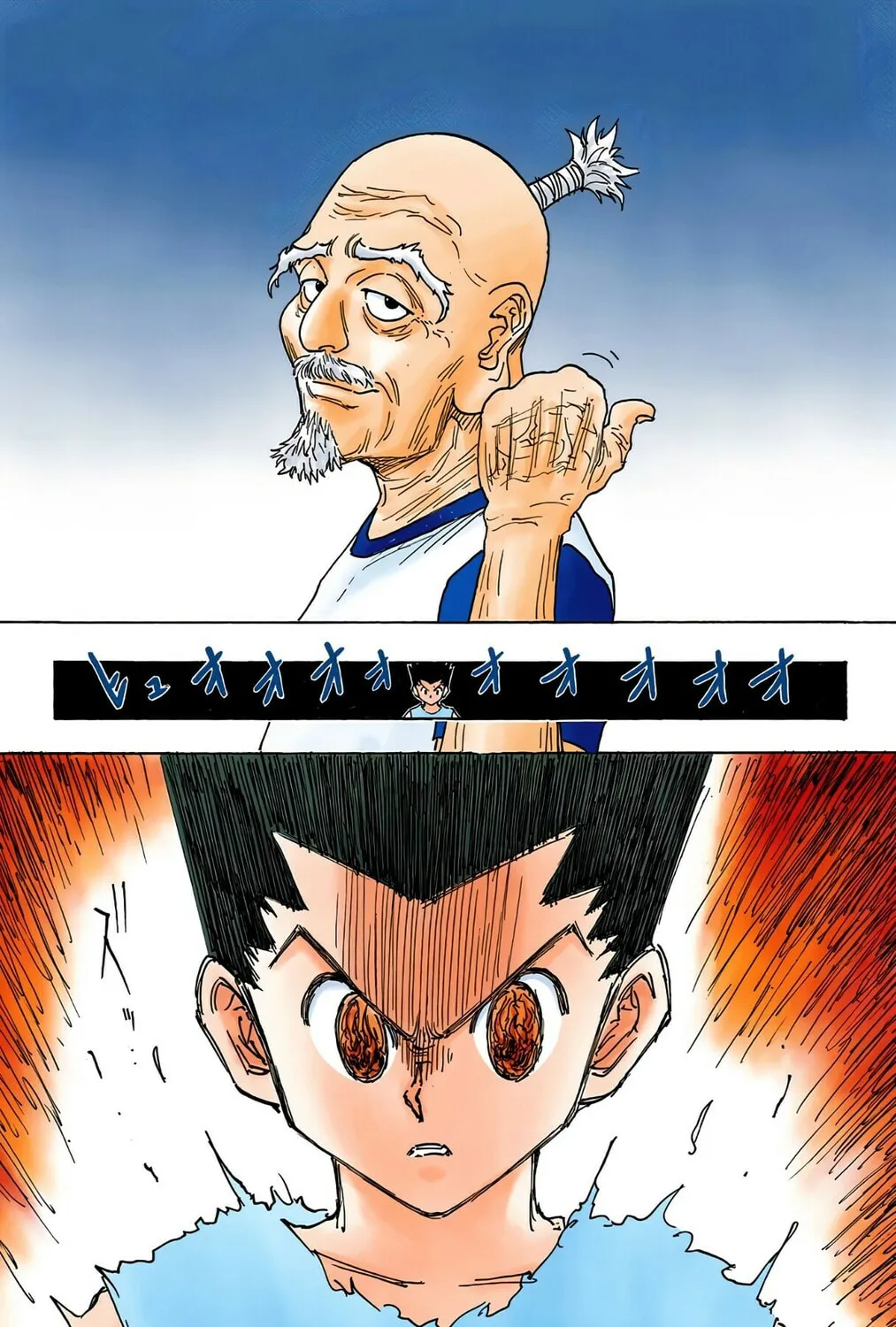 Hunter x Hunter Colored Manga