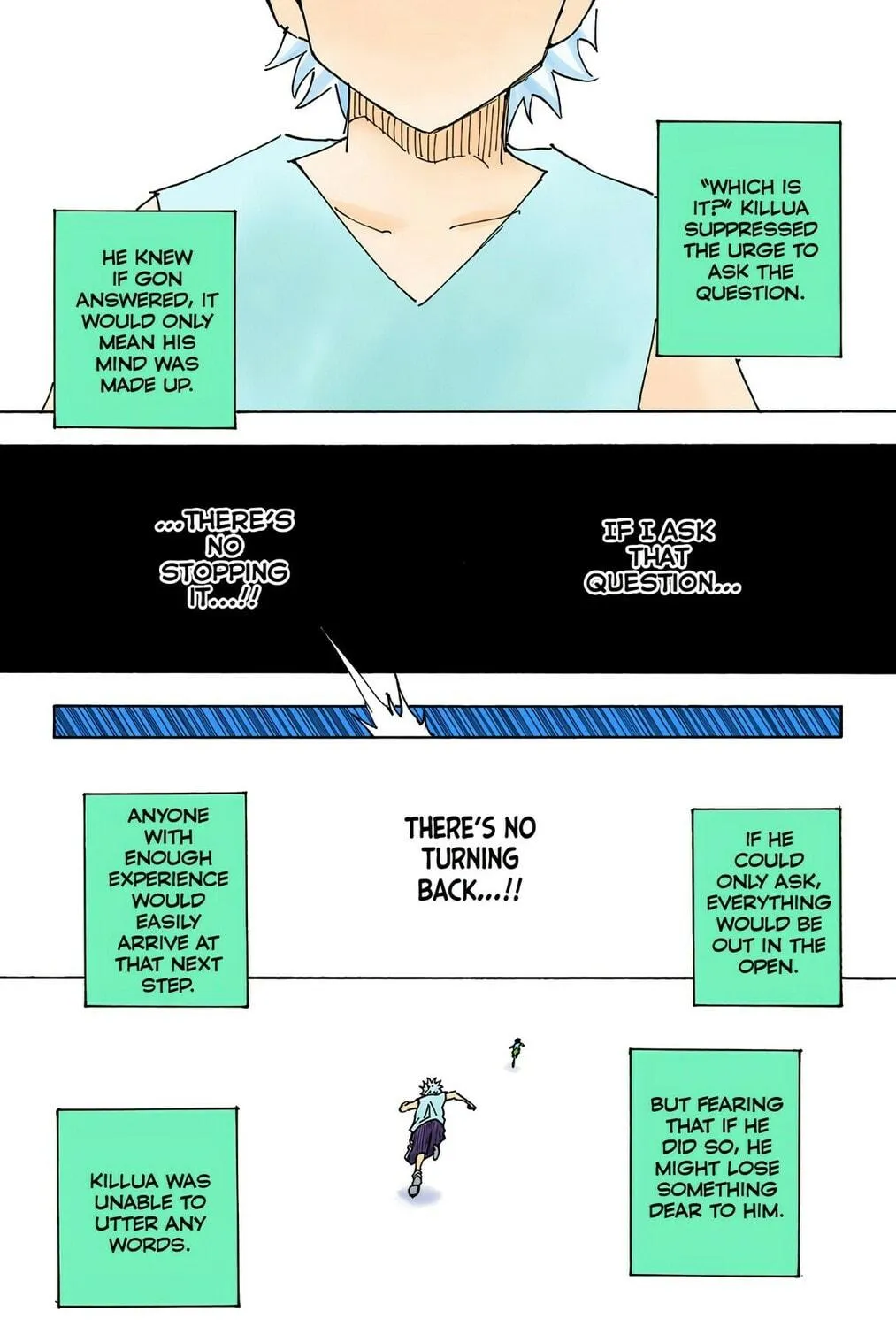 Hunter x Hunter Colored Manga