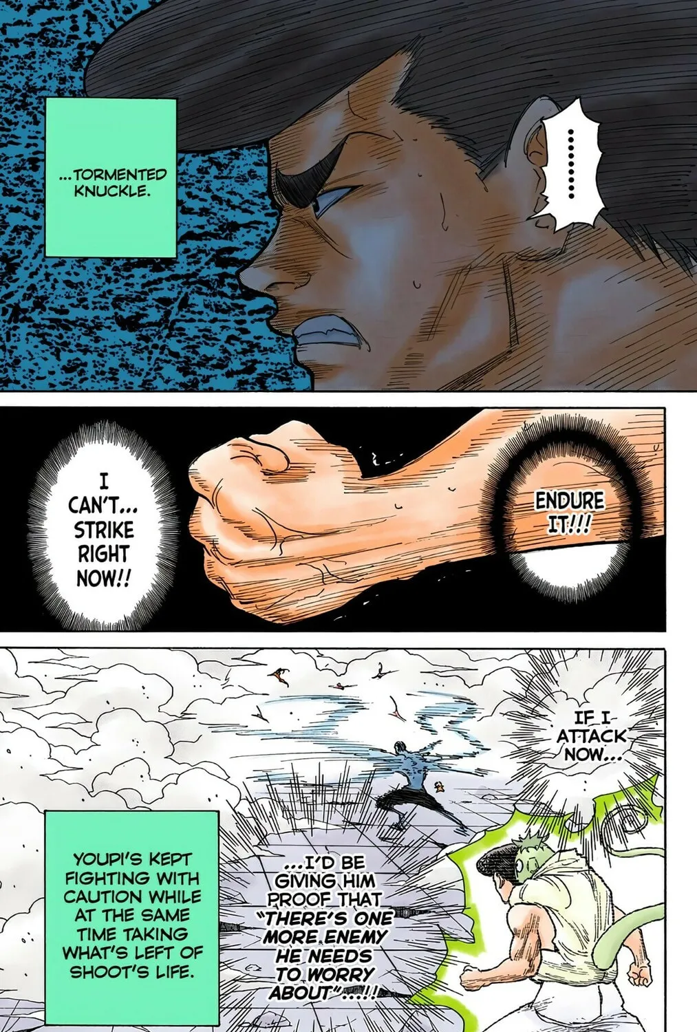Hunter x Hunter Colored Manga
