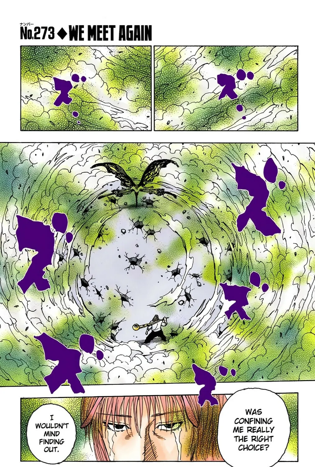 Hunter x Hunter Colored Manga