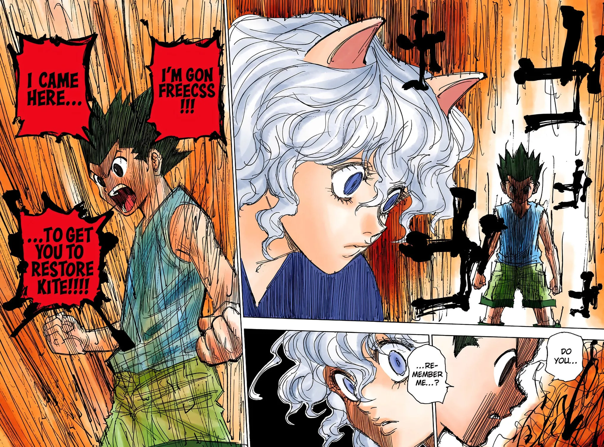 Hunter x Hunter Colored Manga