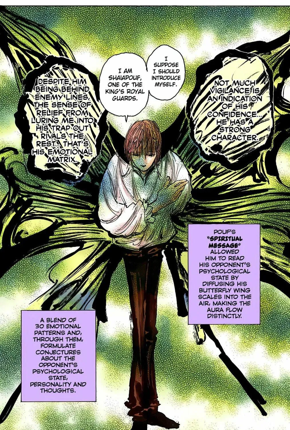 Hunter x Hunter Colored Manga