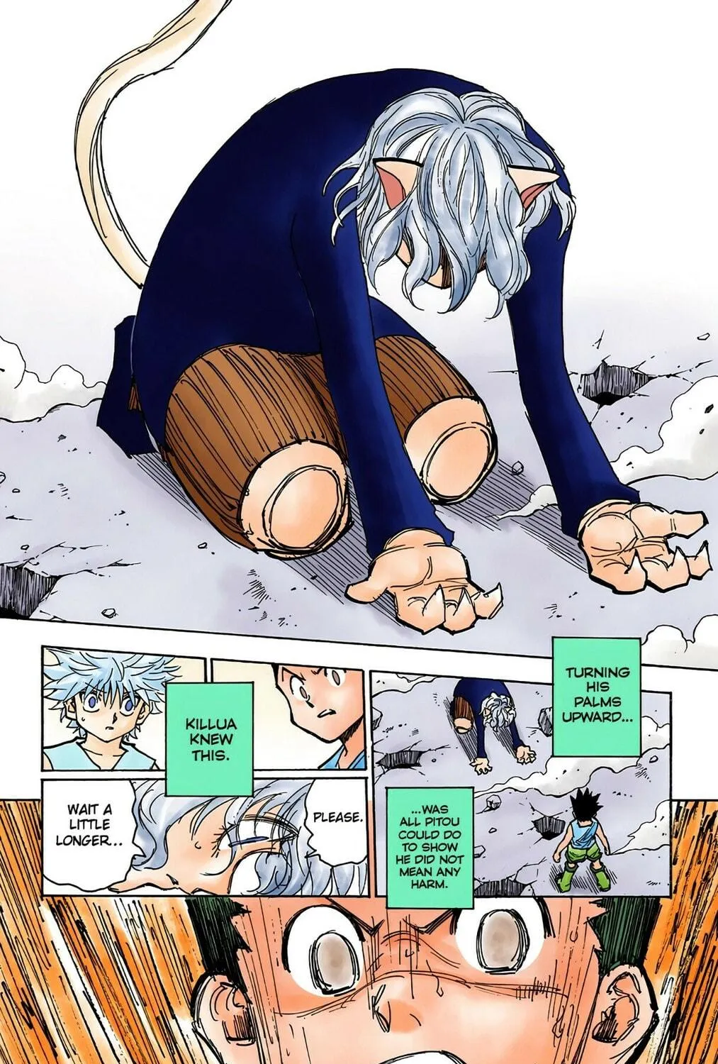 Hunter x Hunter Colored Manga