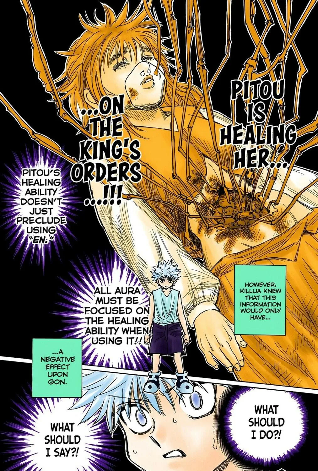 Hunter x Hunter Colored Manga