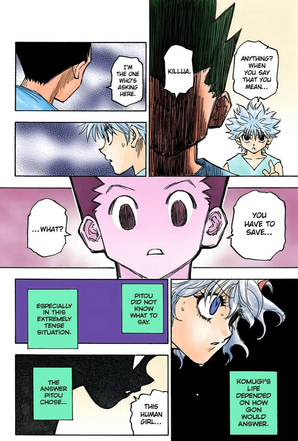 Hunter x Hunter Colored Manga