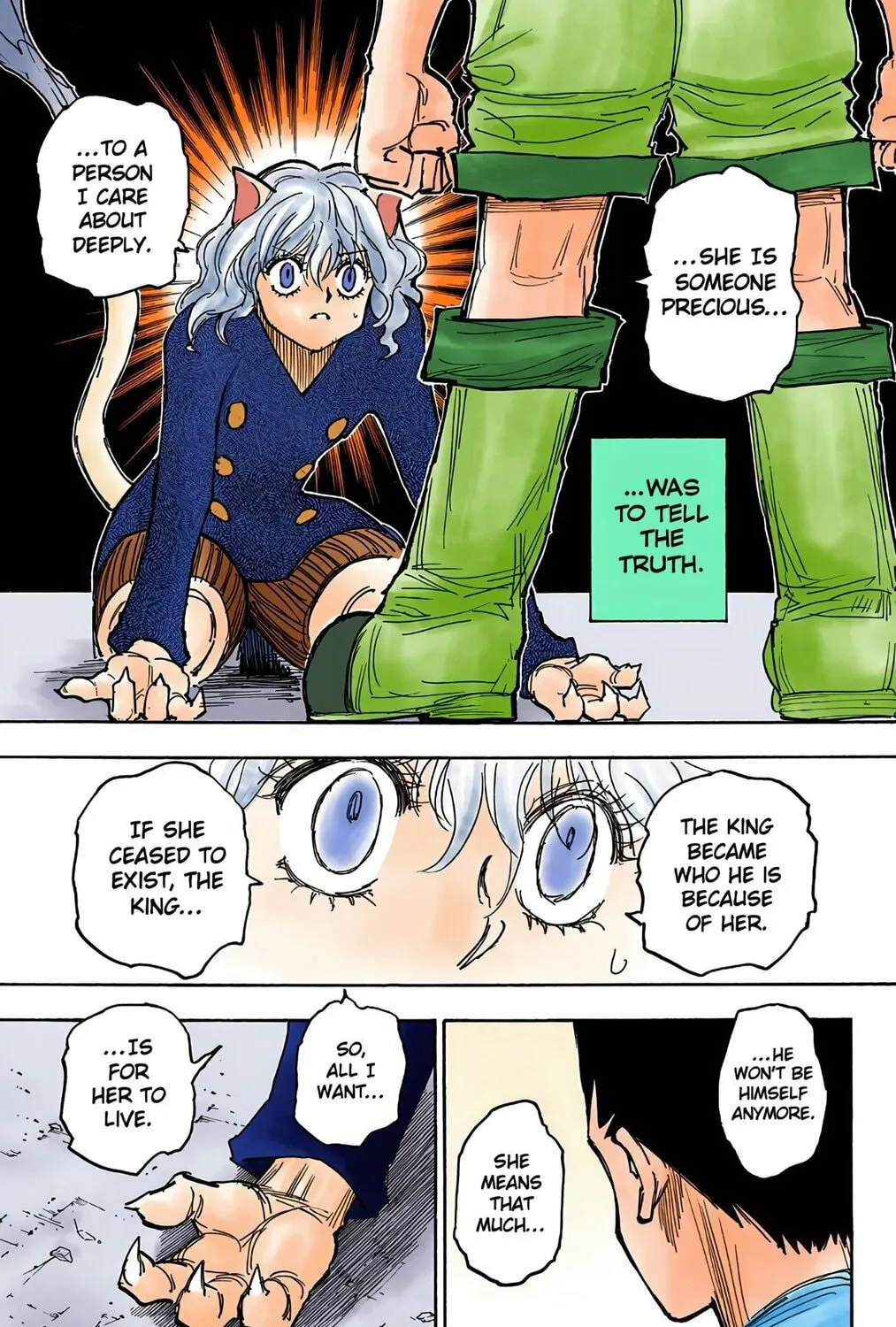Hunter x Hunter Colored Manga