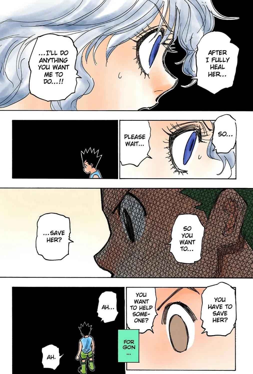 Hunter x Hunter Colored Manga