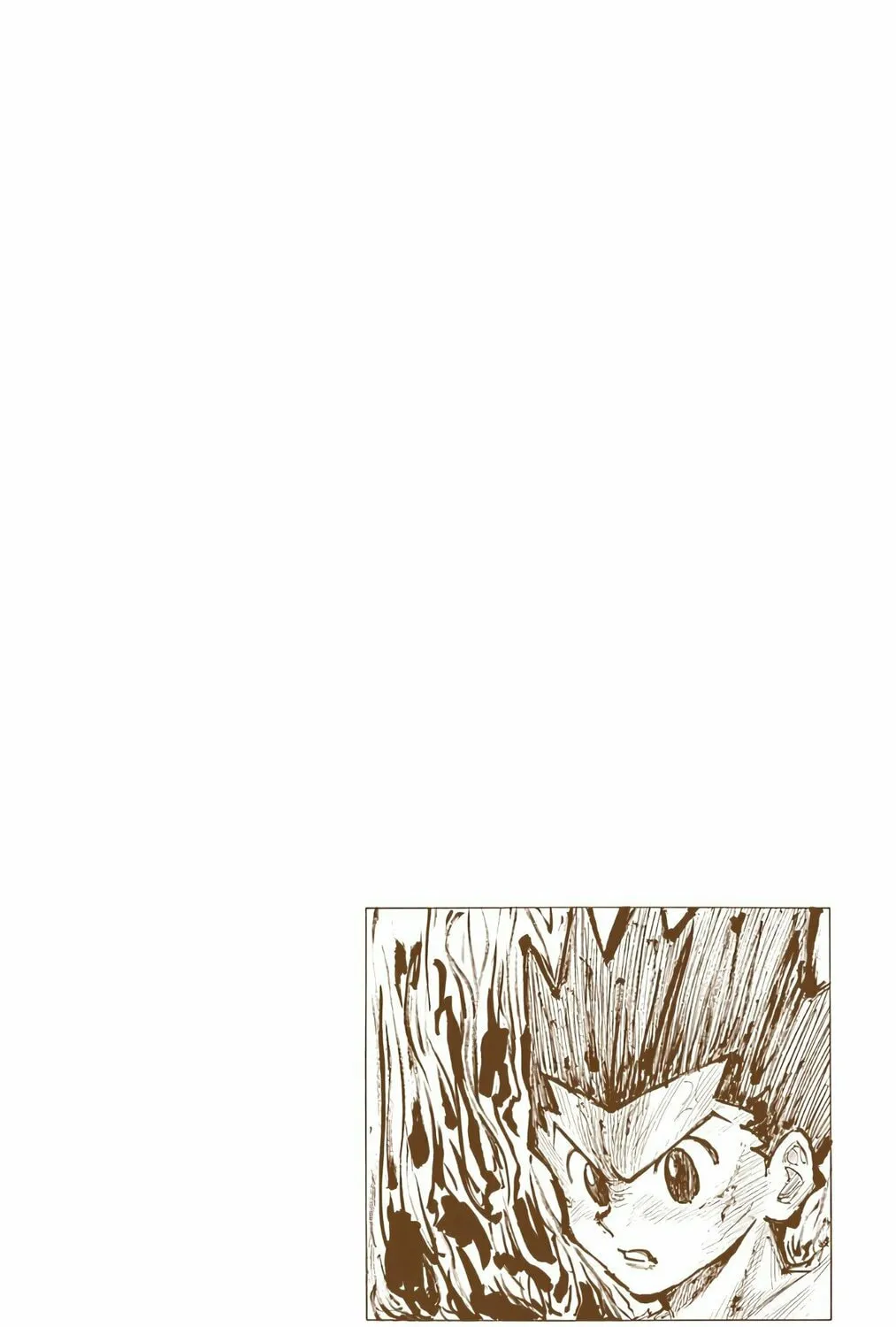 Hunter x Hunter Colored Manga