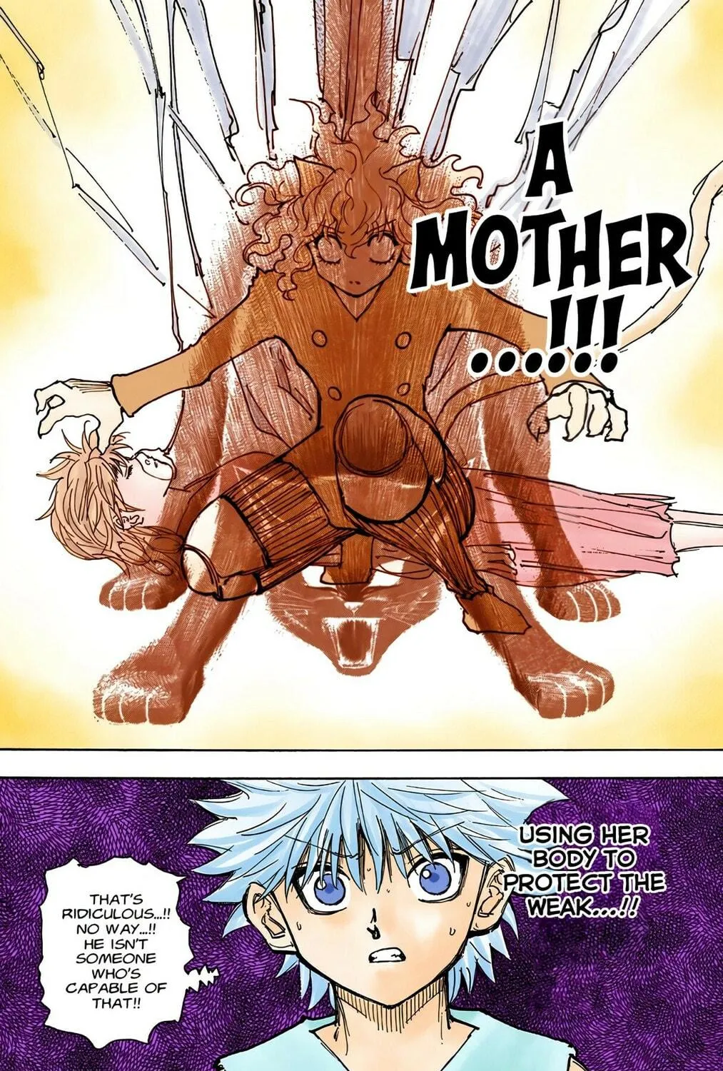 Hunter x Hunter Colored Manga