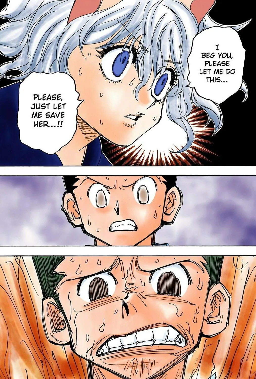 Hunter x Hunter Colored Manga