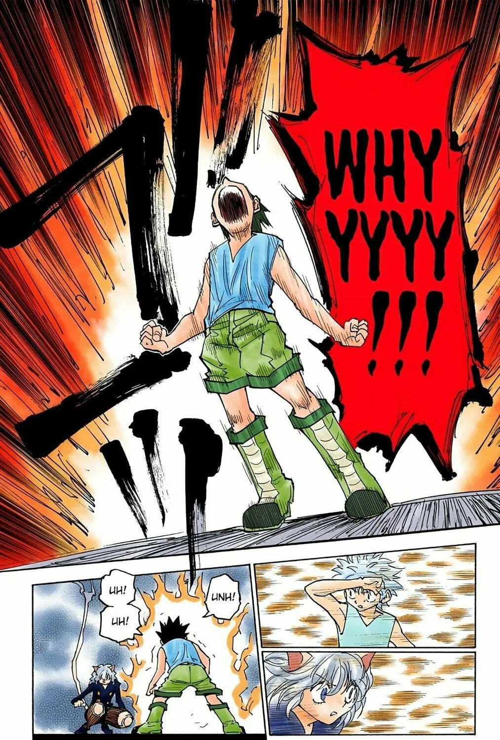 Hunter x Hunter Colored Manga