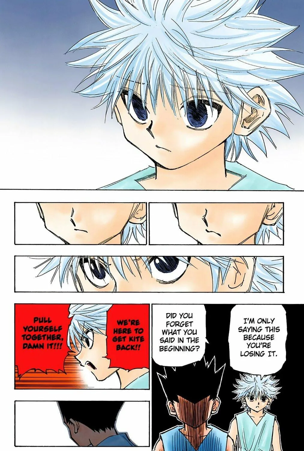 Hunter x Hunter Colored Manga