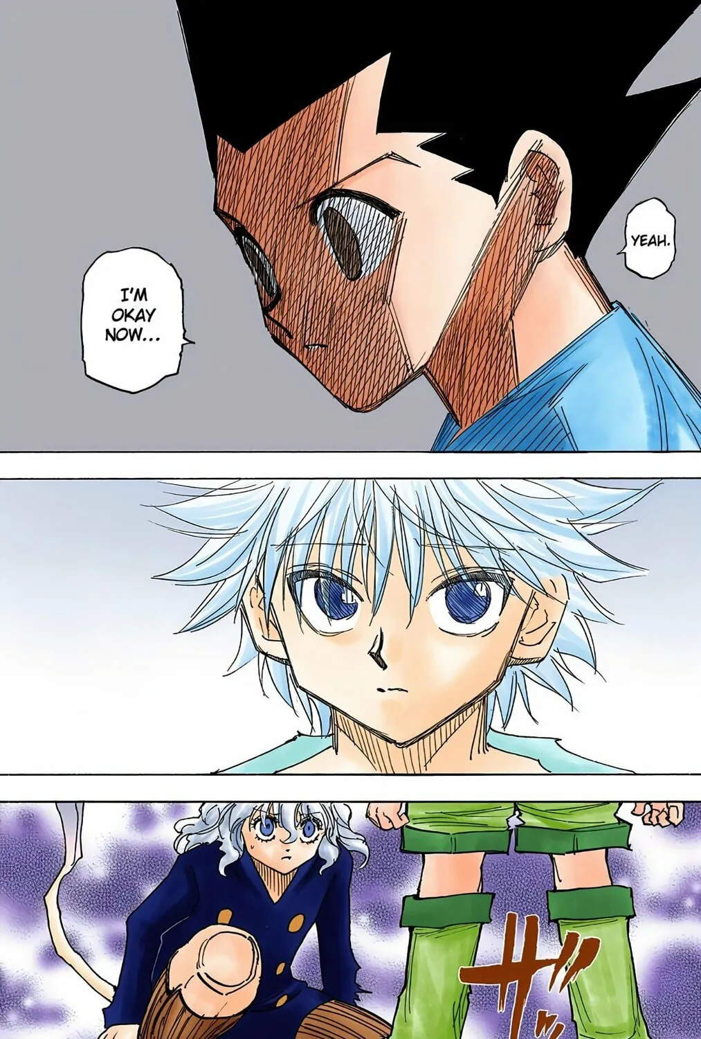 Hunter x Hunter Colored Manga