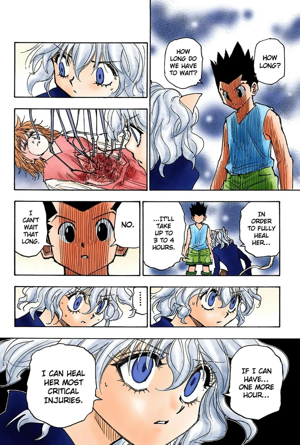 Hunter x Hunter Colored Manga