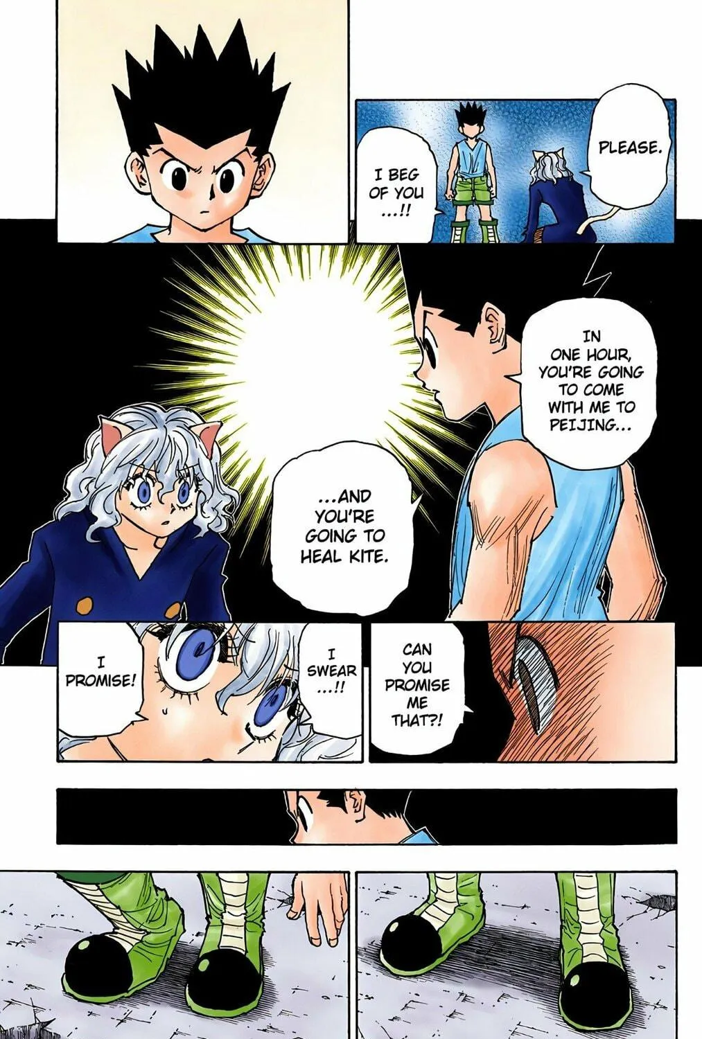 Hunter x Hunter Colored Manga