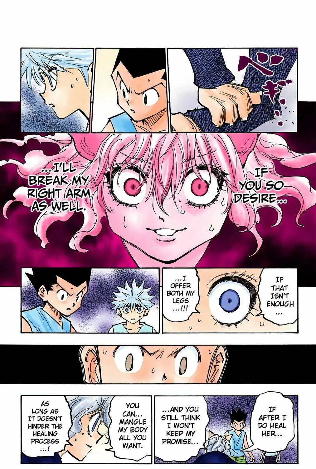 Hunter x Hunter Colored Manga