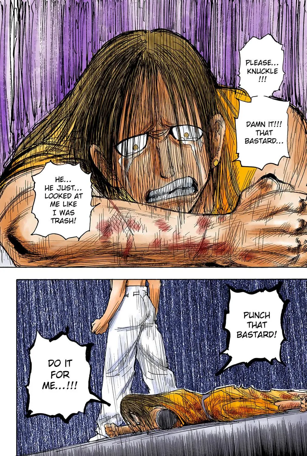 Hunter x Hunter Colored Manga