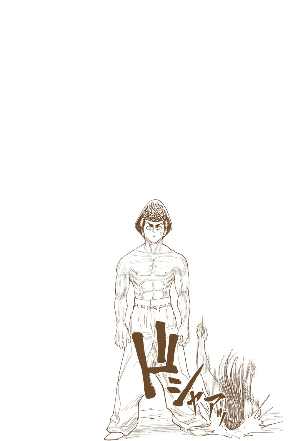 Hunter x Hunter Colored Manga