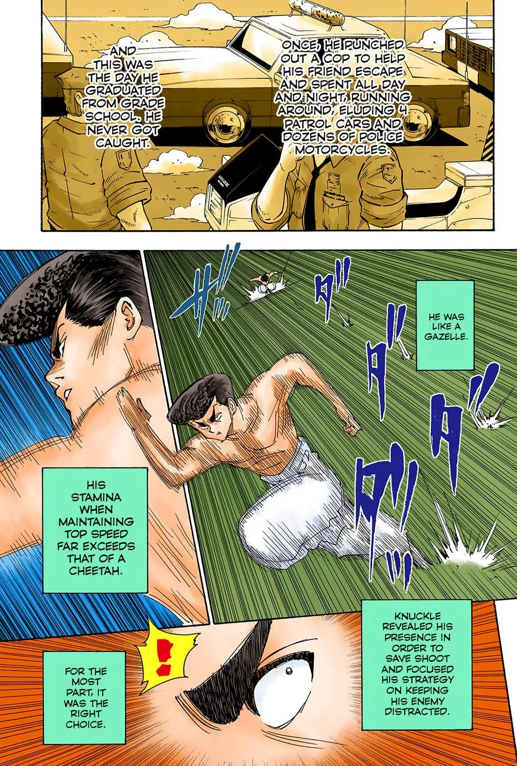 Hunter x Hunter Colored Manga