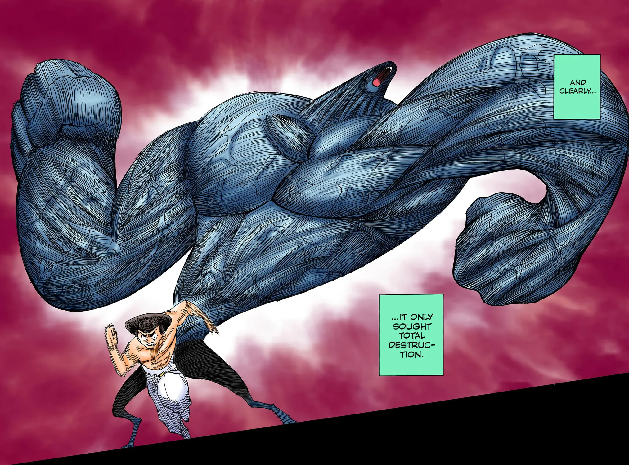 Hunter x Hunter Colored Manga