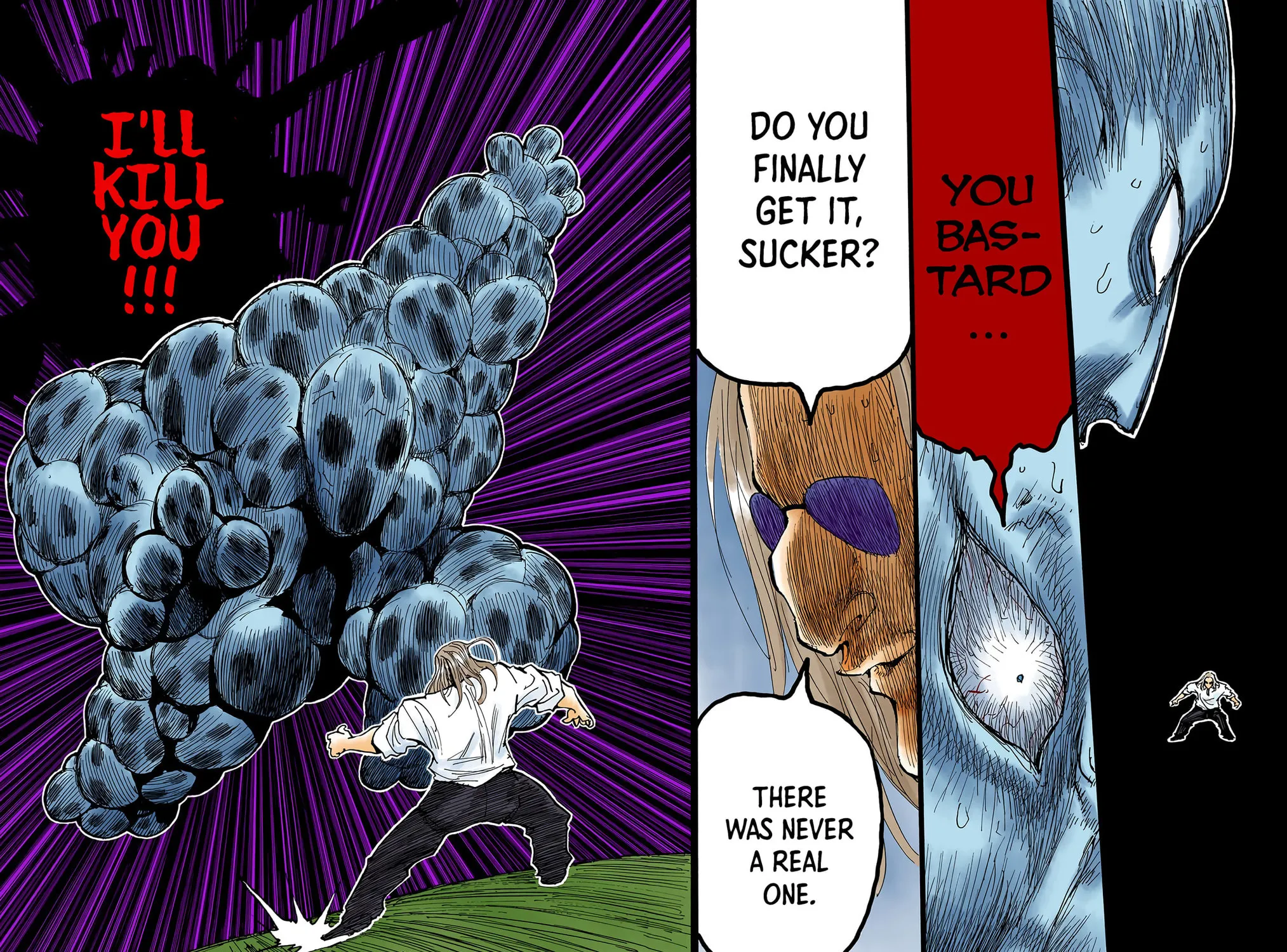 Hunter x Hunter Colored Manga