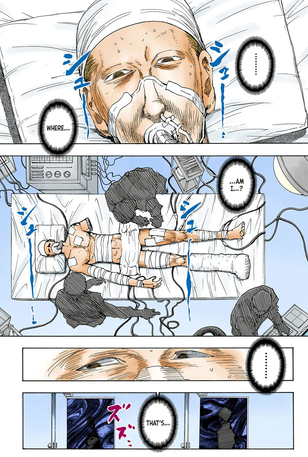 Hunter x Hunter Colored Manga