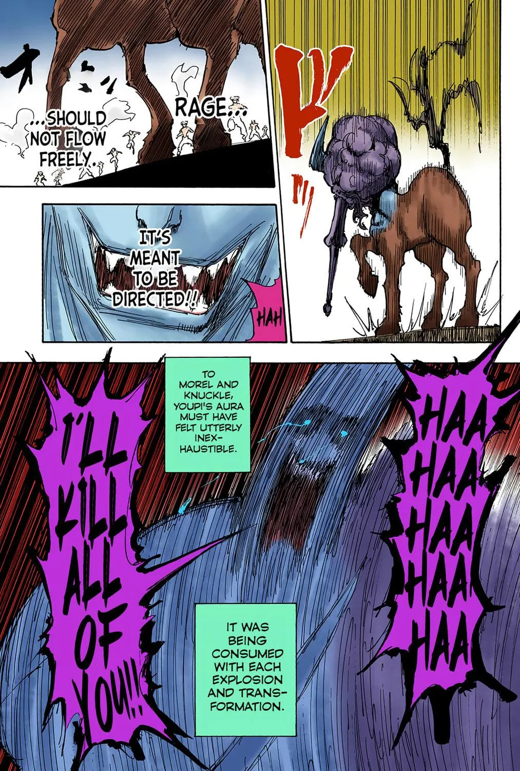 Hunter x Hunter Colored Manga