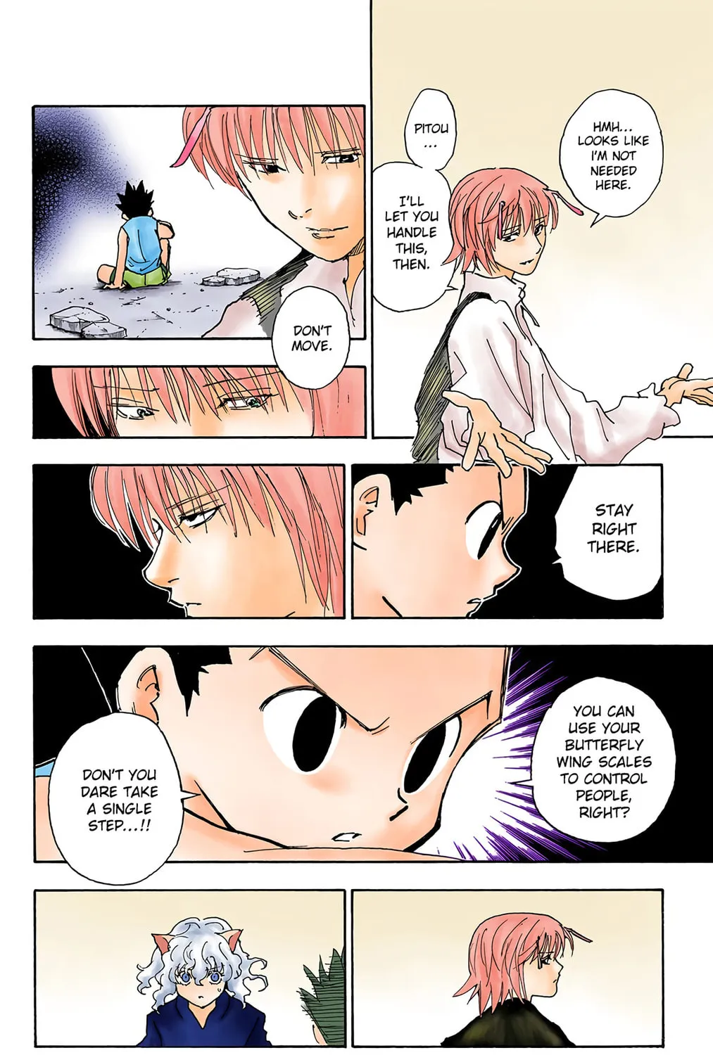 Hunter x Hunter Colored Manga