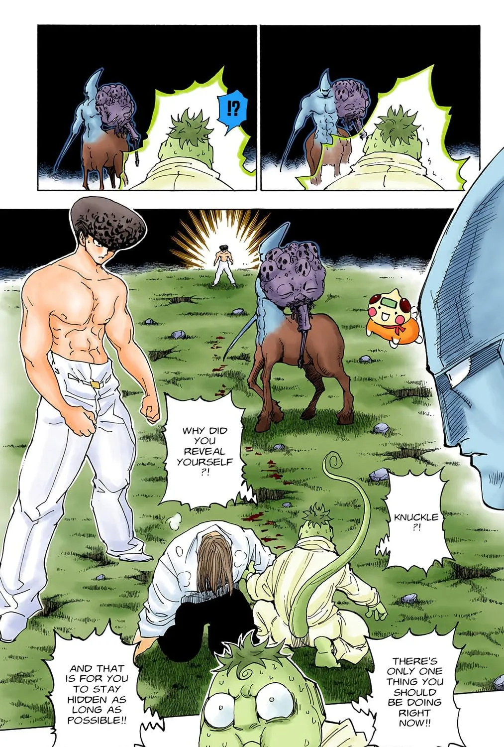 Hunter x Hunter Colored Manga